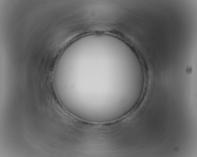 X0000112851169200908211023