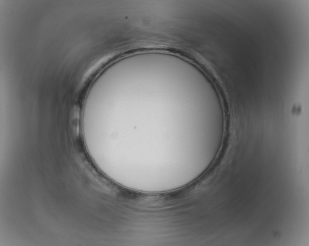 X0000112851171200908211023