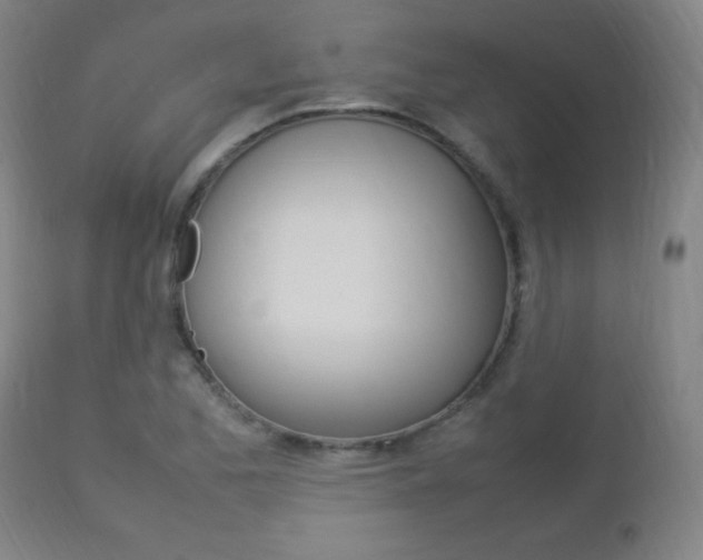 X0000112851173200908211023