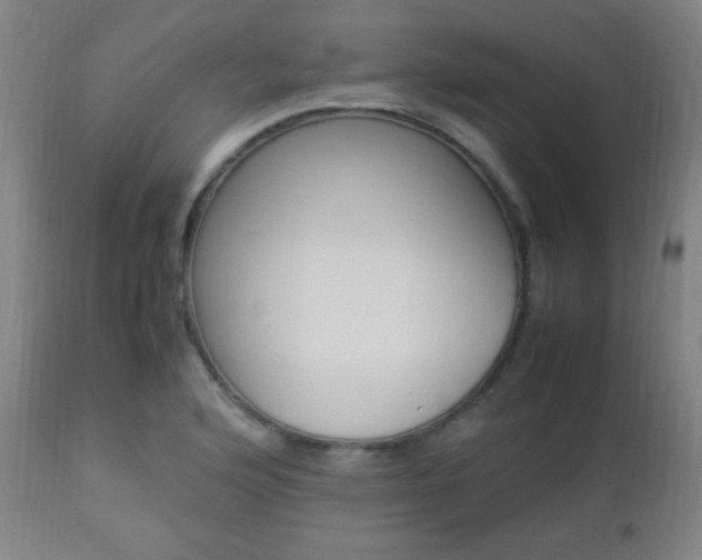 X0000112851176200908211023