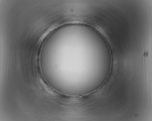 X0000112851181200908211023