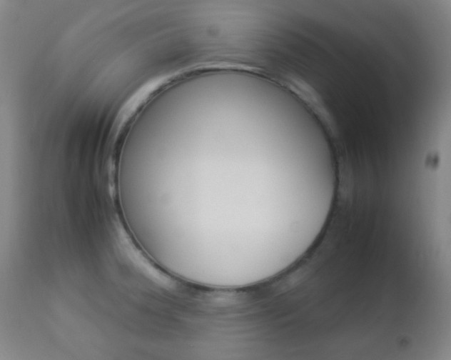 X0000112851188200908211023
