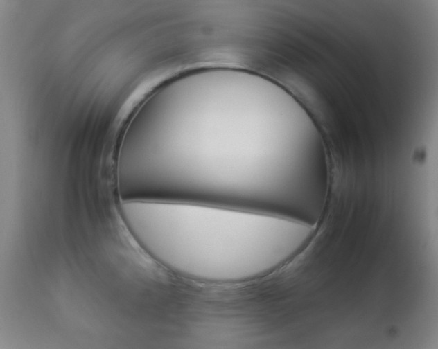 X0000112851192200908211023
