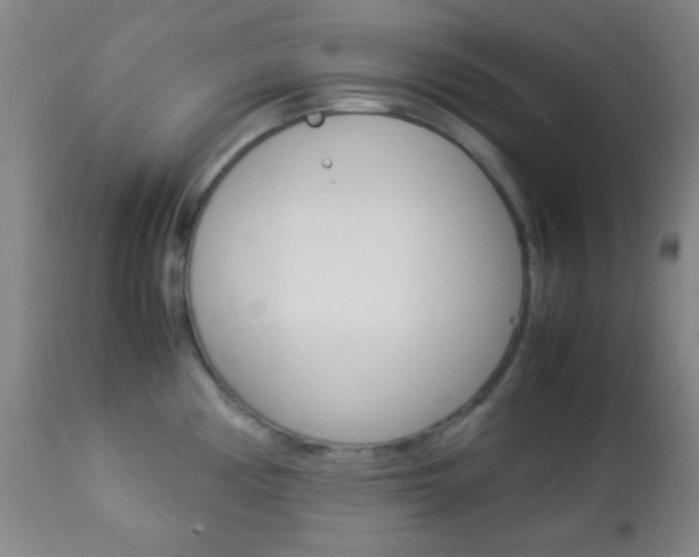 X0000112851194200908211023