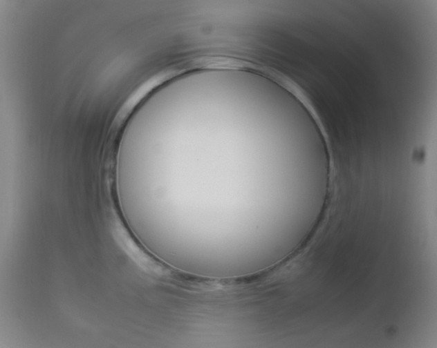 X0000112851195200908211023