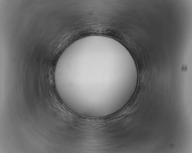 X0000112851202200908211022