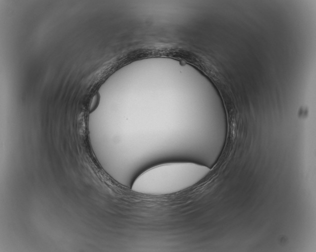 X0000112851204200908211022