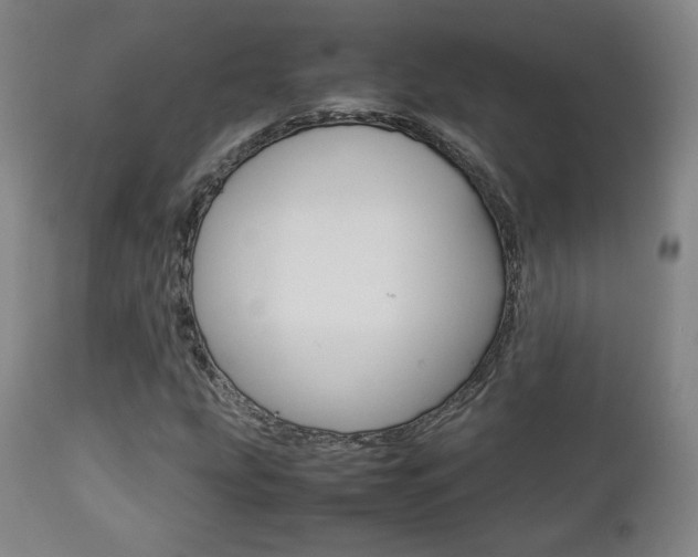 X0000112851207200908211022