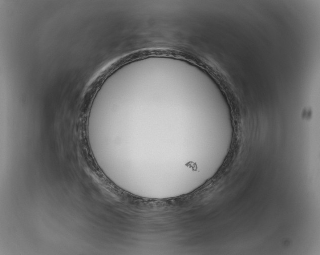 X0000112851208200908211022
