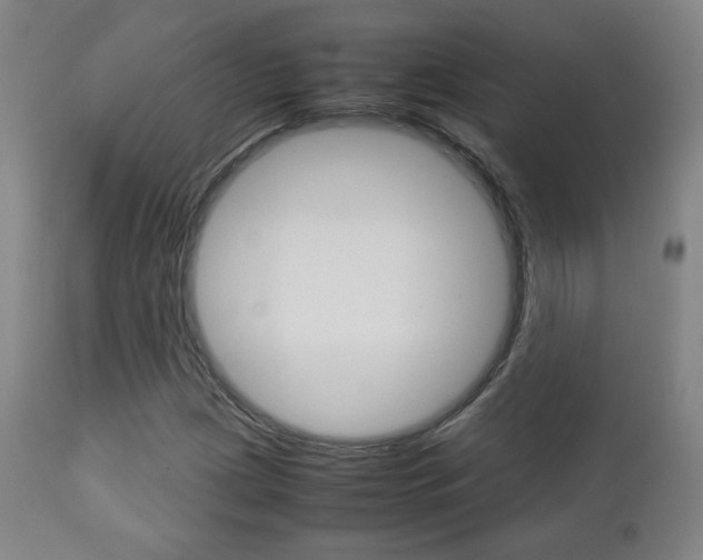 X0000112851209200908211022