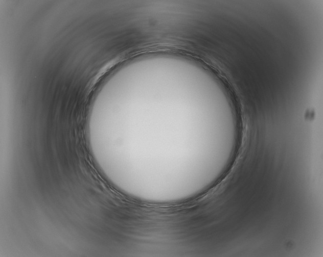 X0000112851210200908211022