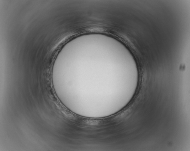 X0000112851211200908211022