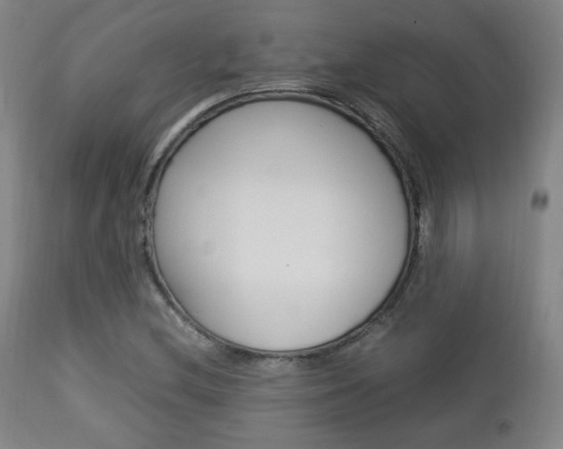 X0000112851212200908211022