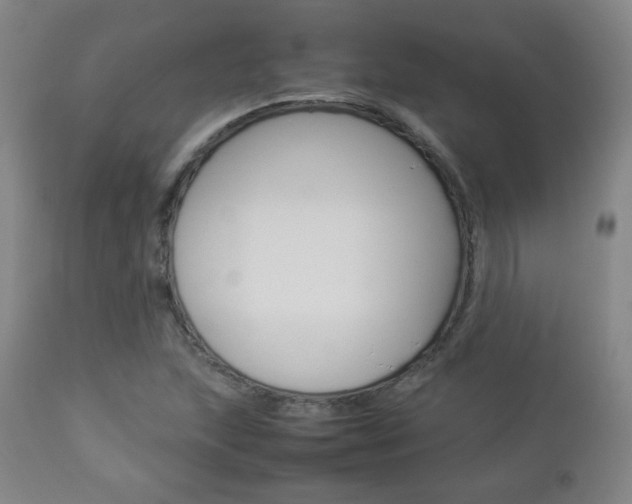 X0000112851215200908211022