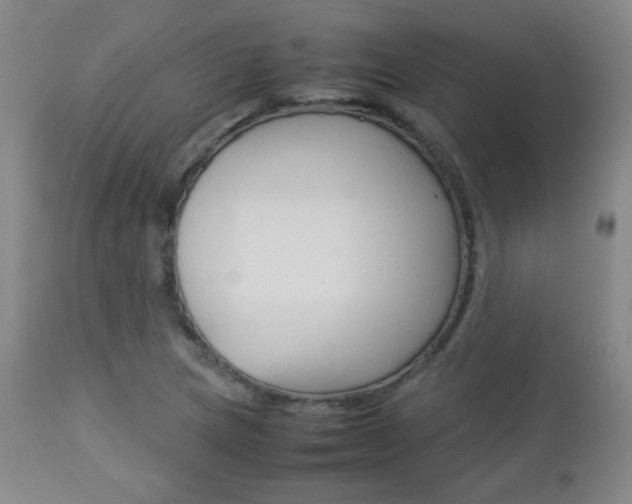 X0000112851217200908211022