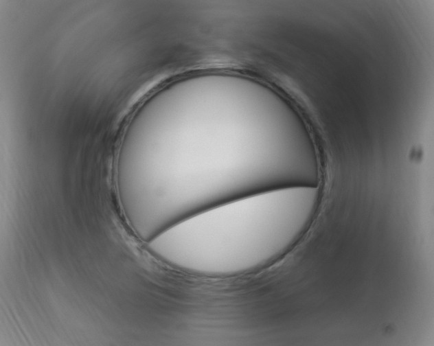 X0000112851220200908211022