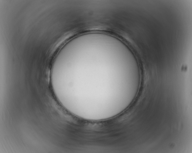 X0000112851221200908211022