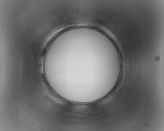 X0000112851223200908211022