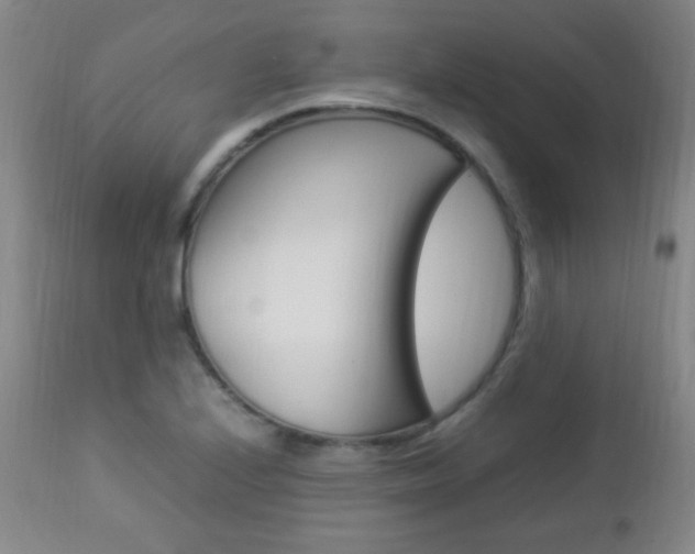 X0000112851224200908211022