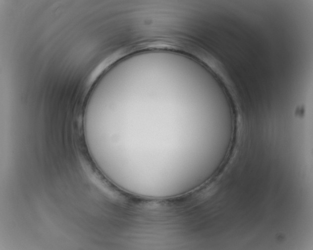 X0000112851234200908211023