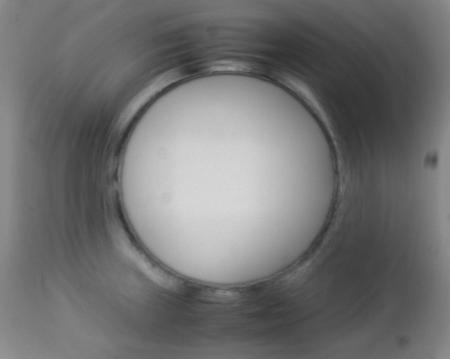 X0000112851235200908211023