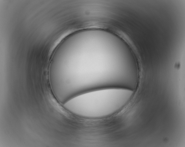 X0000112851236200908211023