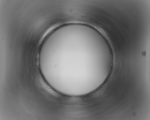 X0000112851238200908211023