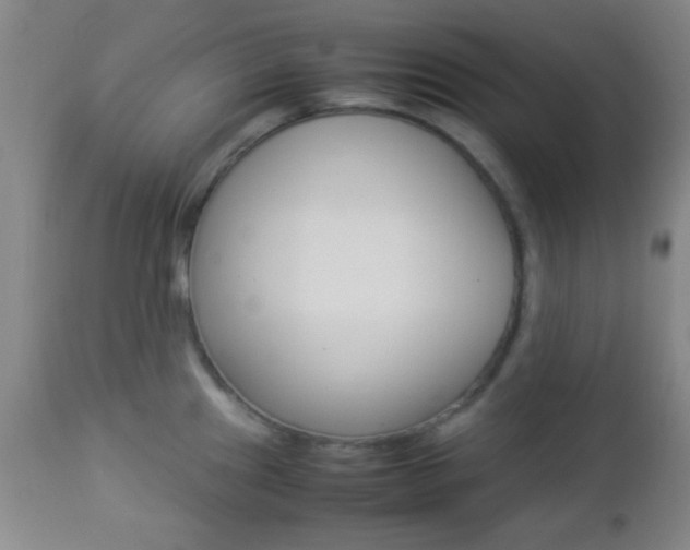 X0000112851241200908211023