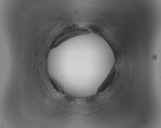 X0000112851249200908211022