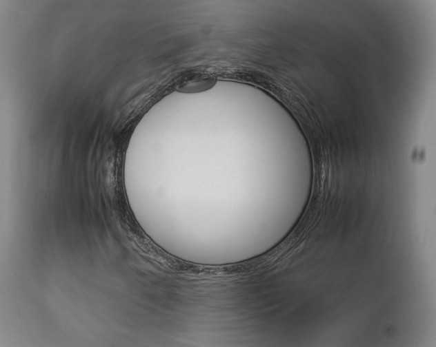 X0000112851250200908211022