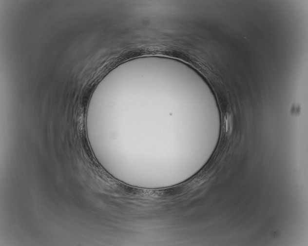 X0000112851251200908211022