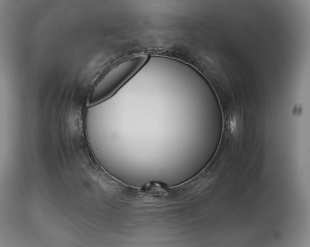 X0000112851252200908211022