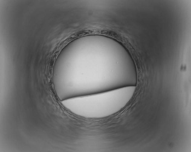 X0000112851253200908211022