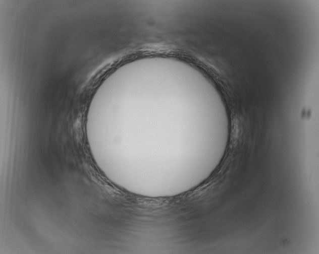 X0000112851254200908211022