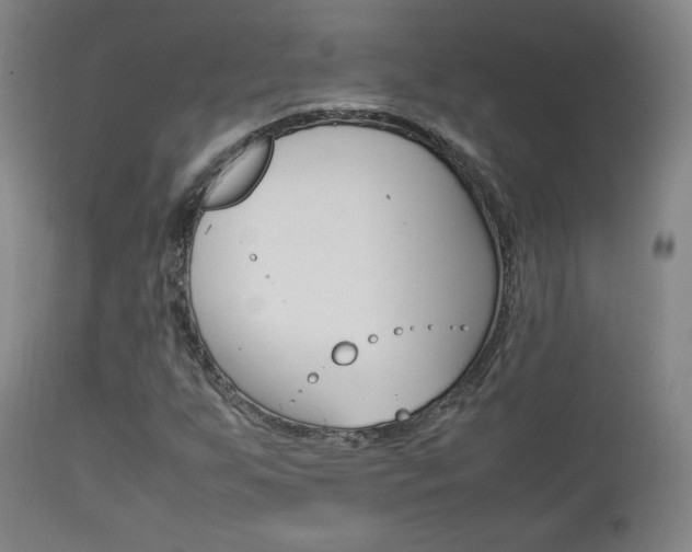 X0000112851255200908211022