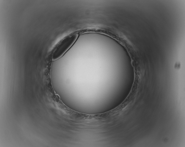 X0000112851256200908211022