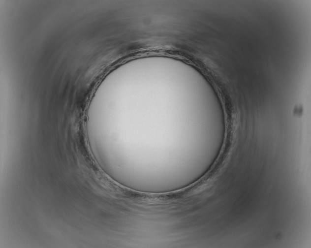 X0000112851257200908211022
