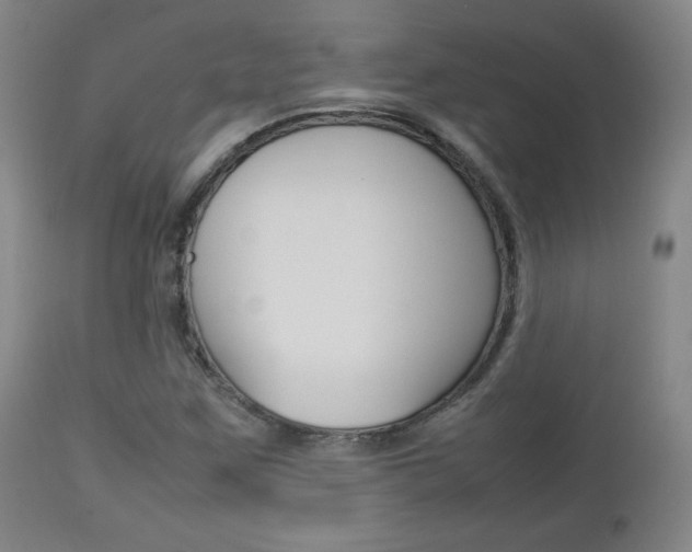 X0000112851259200908211022