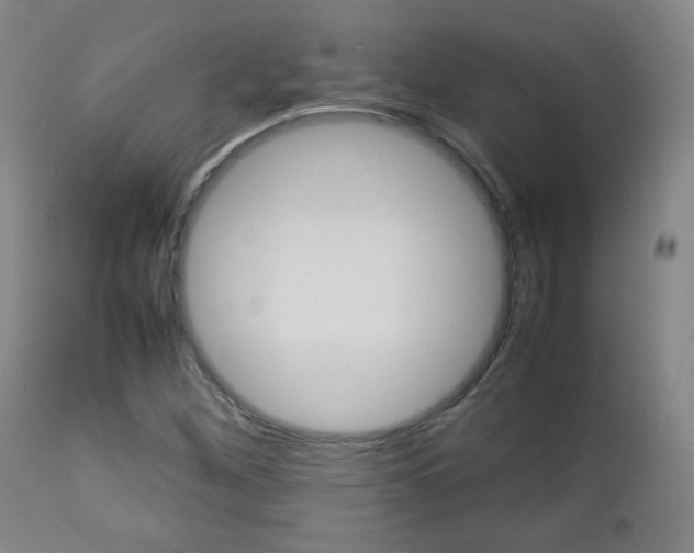 X0000112851260200908211022