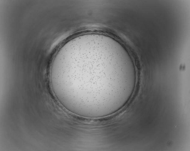X0000112851261200908211022