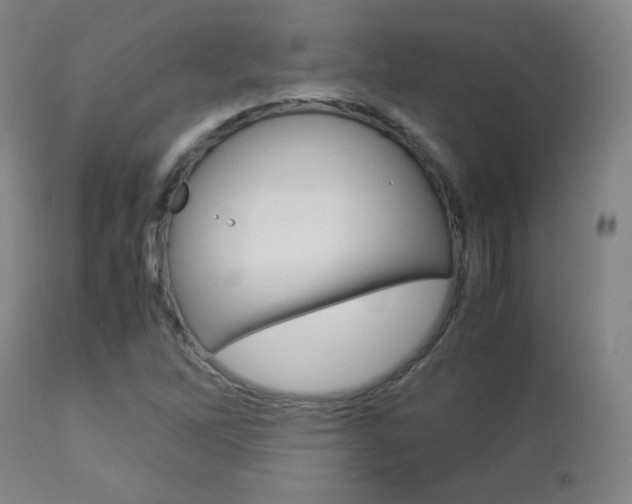 X0000112851262200908211022