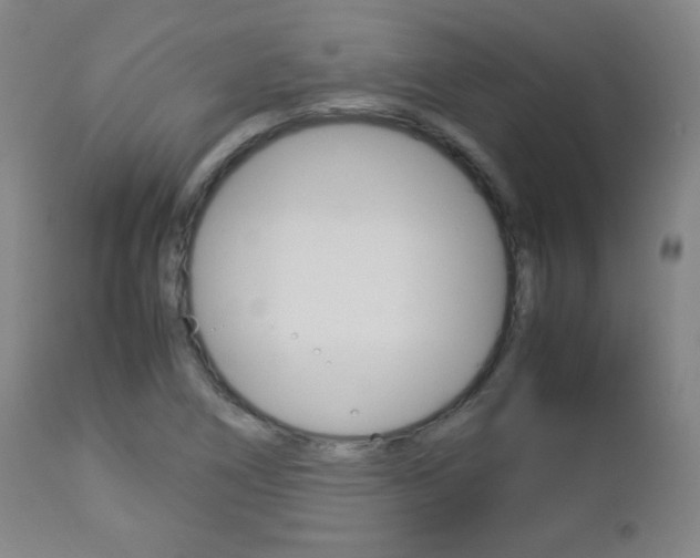 X0000112851266200908211022