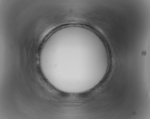 X0000112851267200908211022