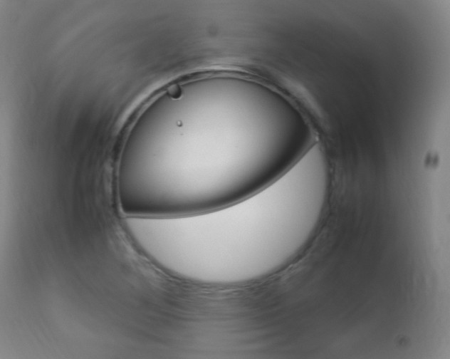 X0000112851268200908211022
