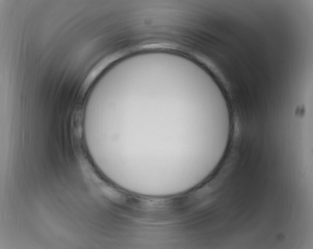 X0000112851274200908211022