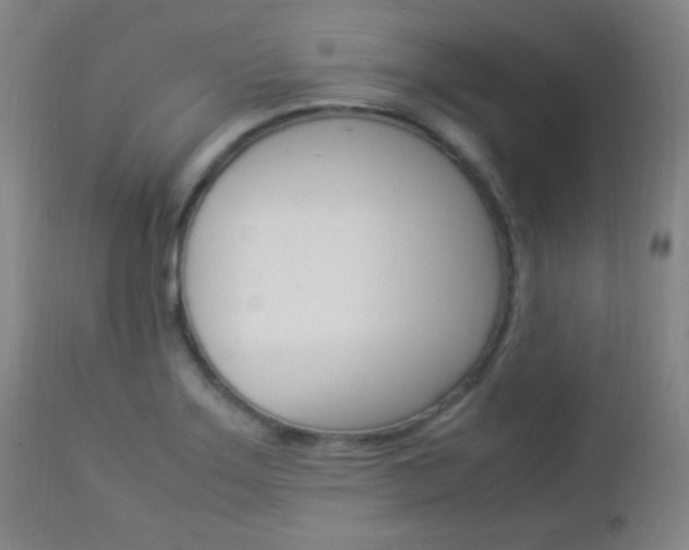 X0000112851275200908211022