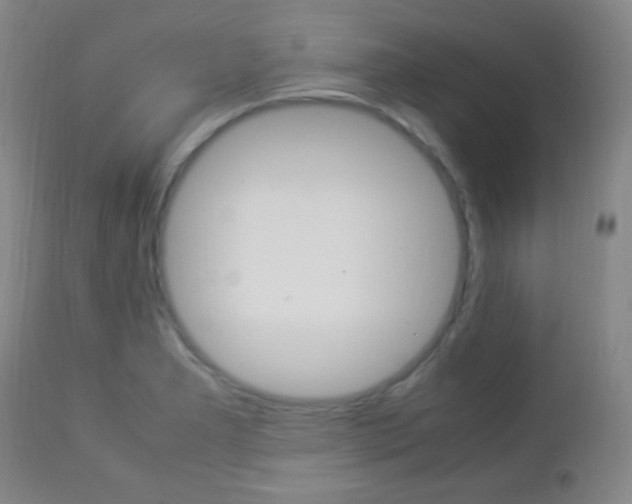 X0000112851277200908211022