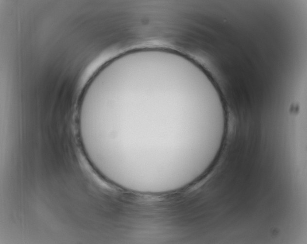 X0000112851278200908211022