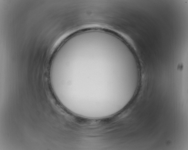 X0000112851279200908211022