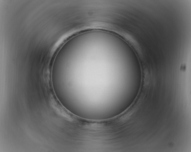 X0000112851280200908211022